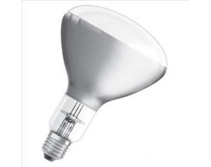 SIJALICA E27 150W "KVOČKA"